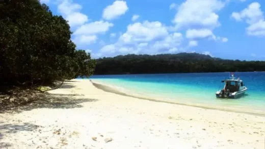 Tourist Attractions in Ujung Kulon, Explore Natural Beauty and Biodiversity